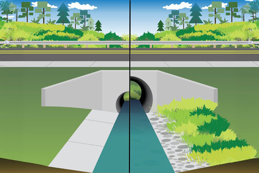 Illustration comparing a standard culvert drainage system with vegetation and erosion control