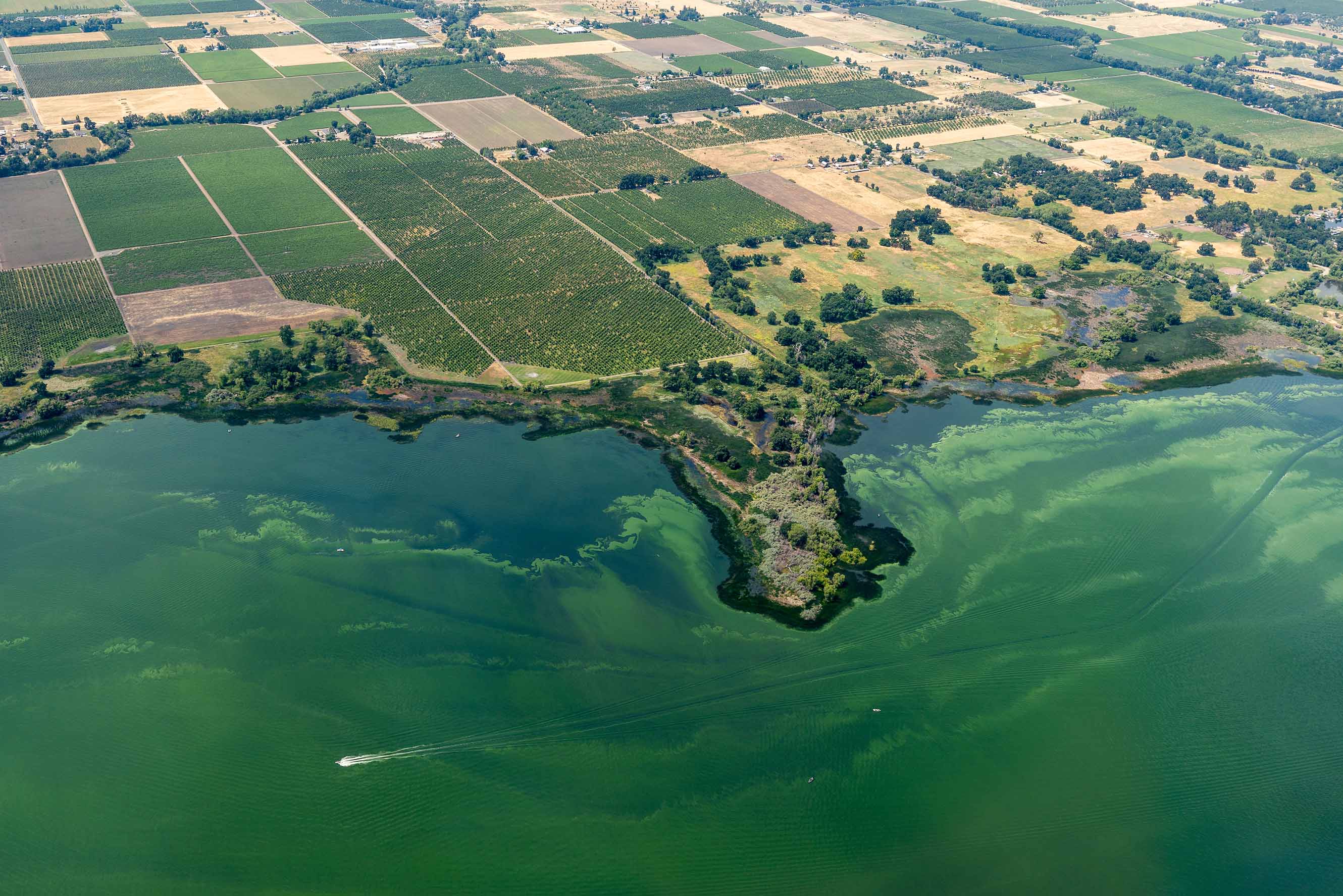 Nutrient removal water treatment infrastructure