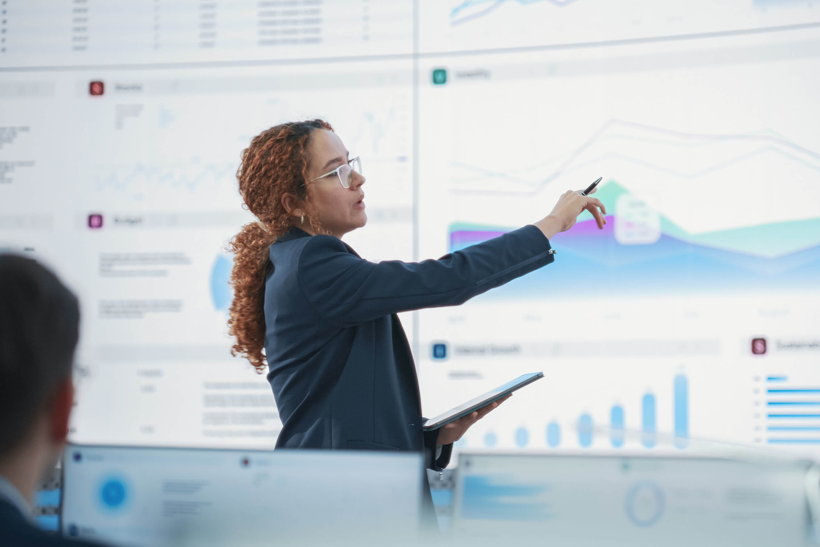 Risk management and project oversight