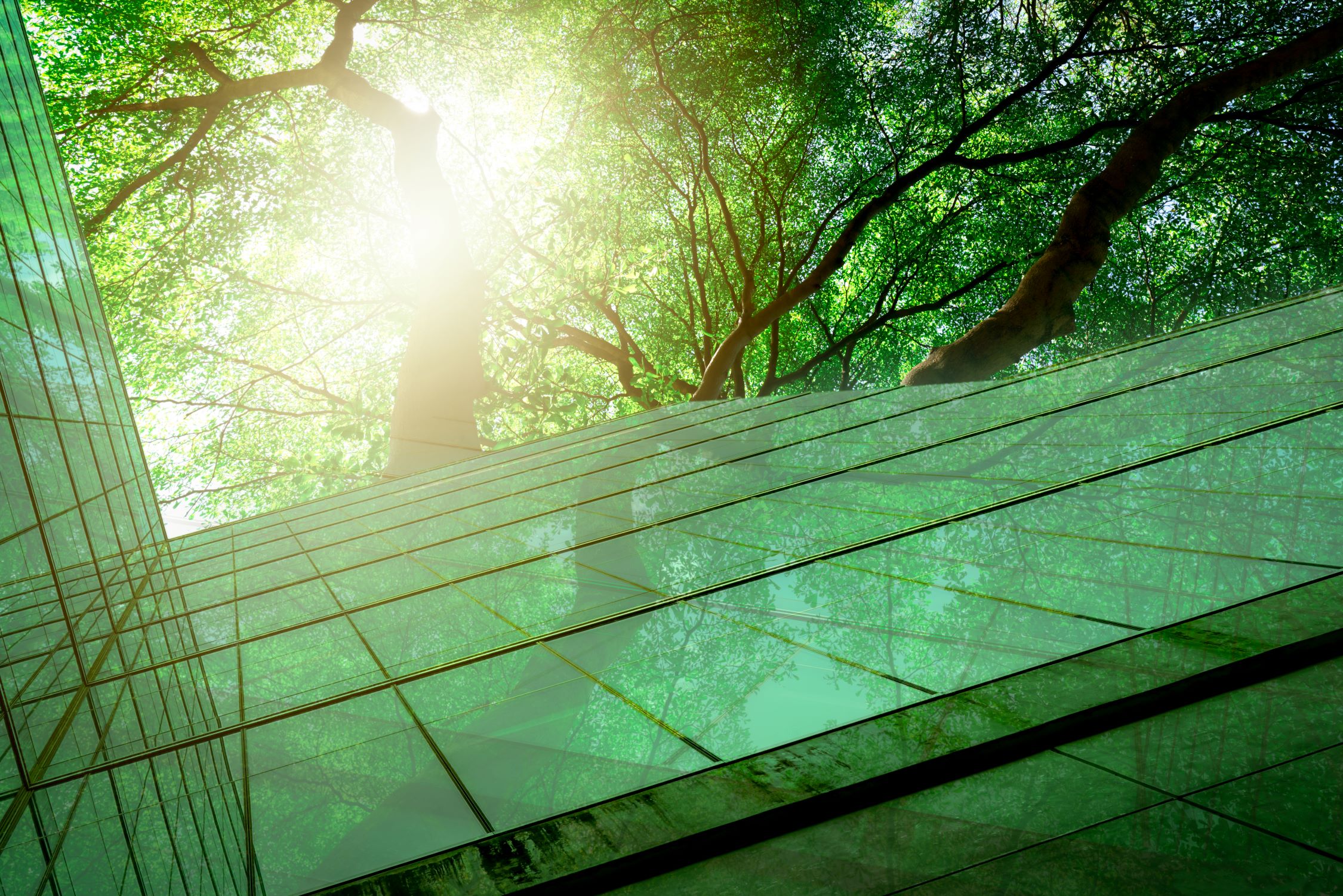 sustainability-1